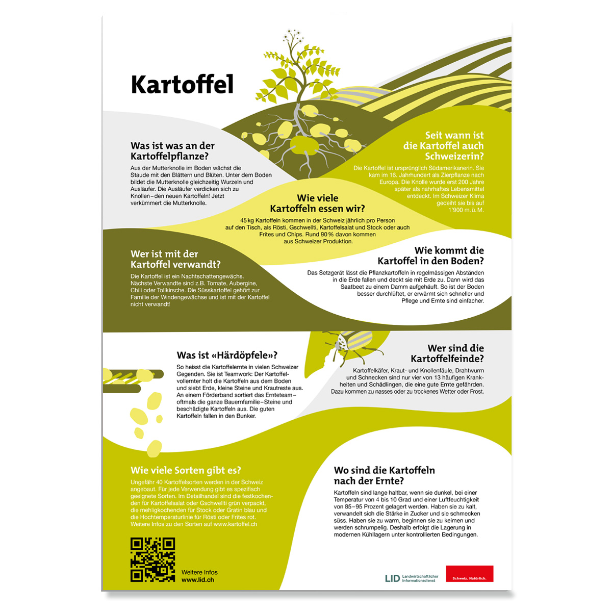 En attente de l’image du produit