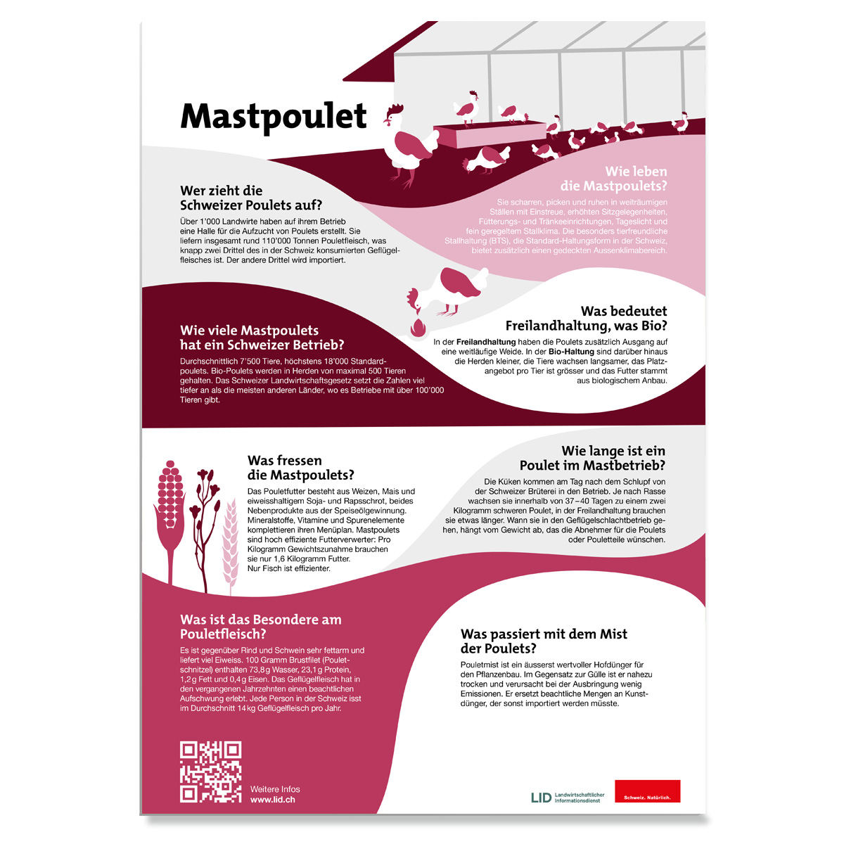 En attente de l’image du produit