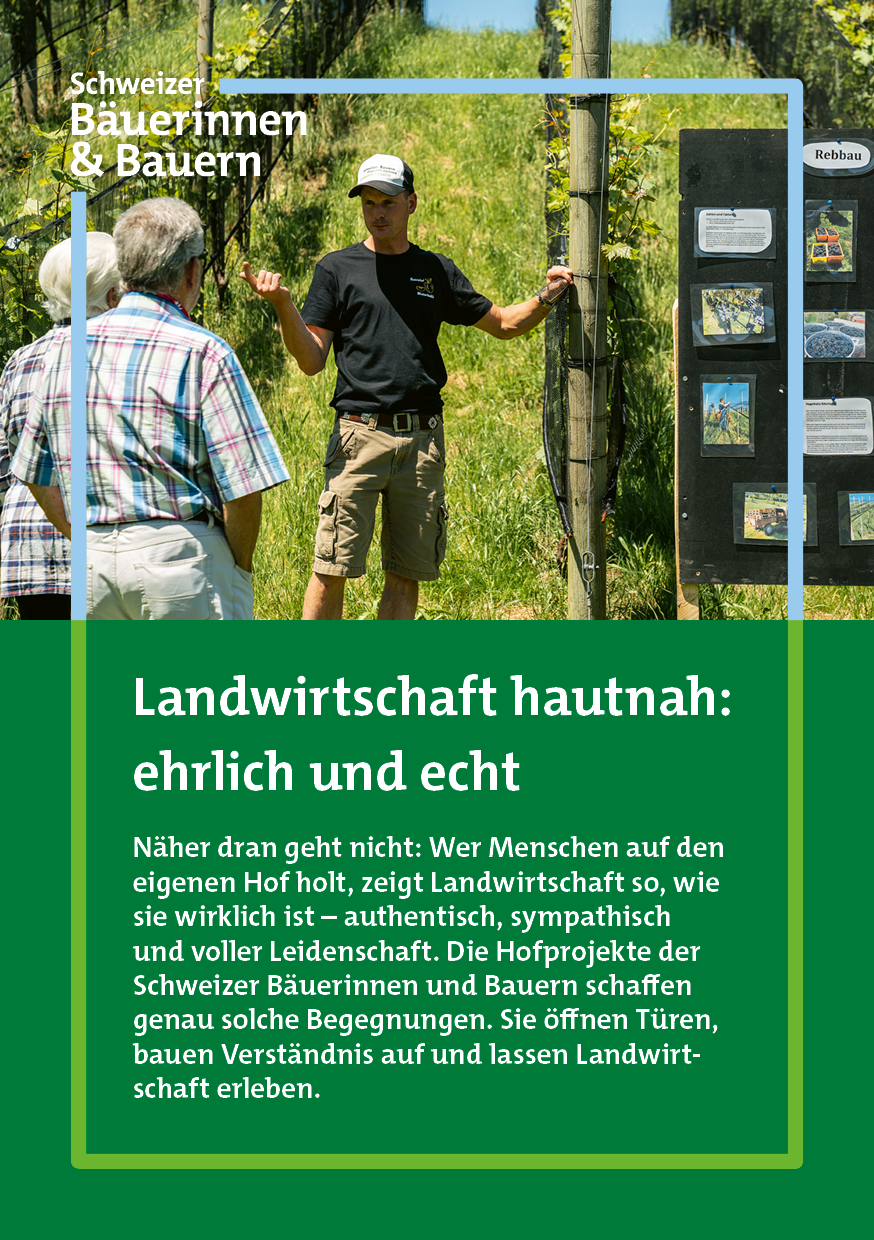 En attente de l’image du produit