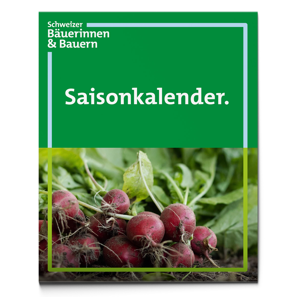 En attente de l’image du produit