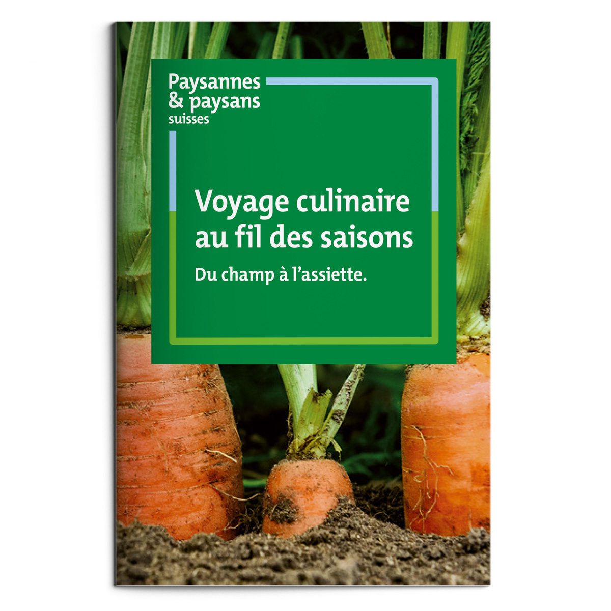 En attente de l’image du produit