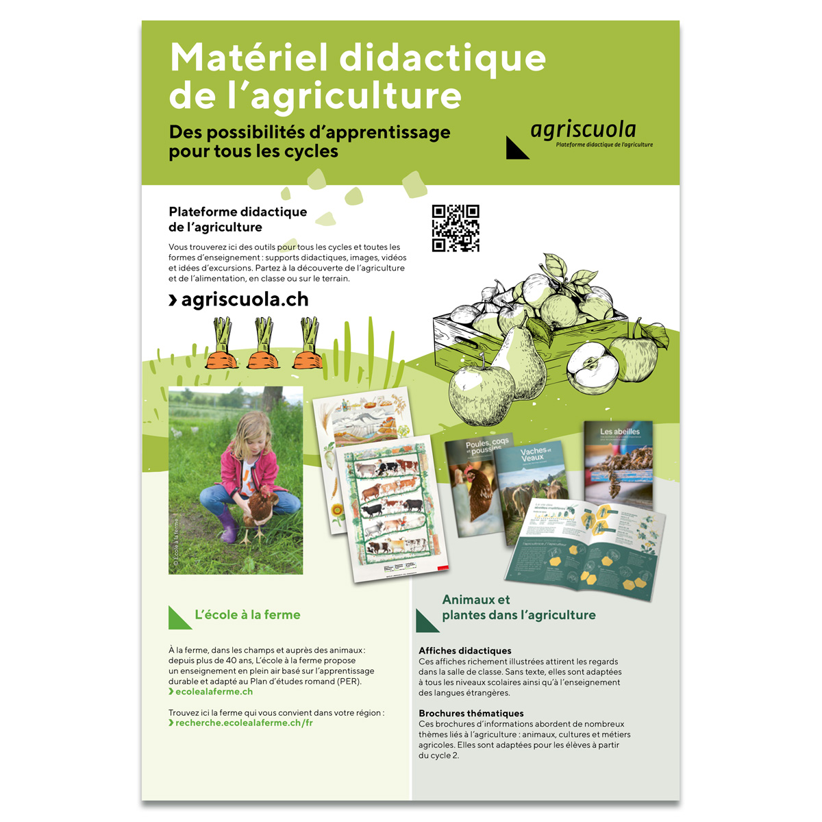 En attente de l’image du produit